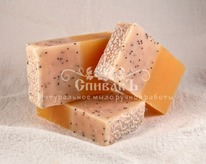 ���� ����������� �����-�����