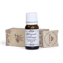 ����� ������ ������ � ������� ������