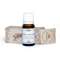 ������� ����� �������������