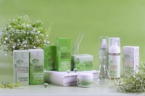 ��������� � ���������� ������������ ��������� ������ �Stem Cells Collection�