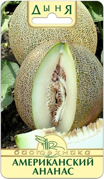 ���� ������������ ������