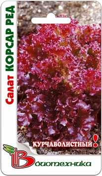 ����� ������ ���