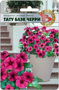 ���������� ������� (�����) ���� ���� �����