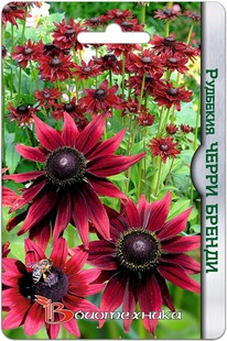 �������� ����� ������