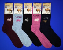 ����� ������� ��������� ������ + ������ ������� ���. S 06