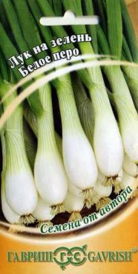 ����� ���� ��� �� ������