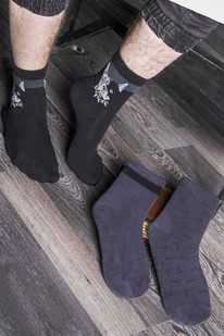 ����� ������� �������