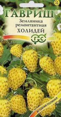 ������� ���������