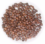 ���� ���������� ����