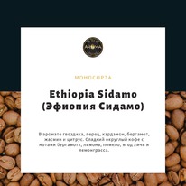 ���� ������� ������