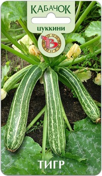 ������� ����