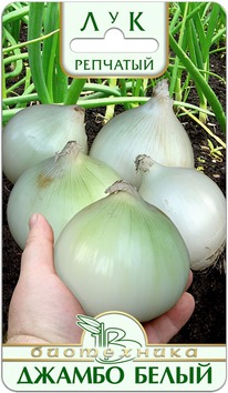 ��� �������� ������ �����