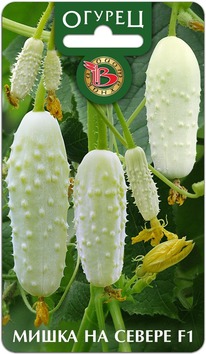 ������ �����-��-������ F1