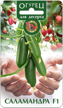 ������ ���������� F1