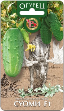 ������ ����� F1