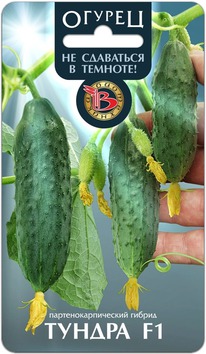 ������ ������ F1