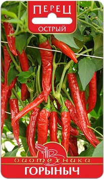 ����� ������ �������