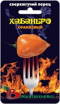 ����� ������ �������� ���������