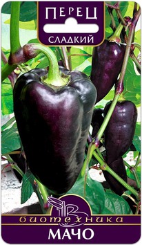 ����� ������� ����