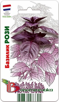 ������� ���������� ����