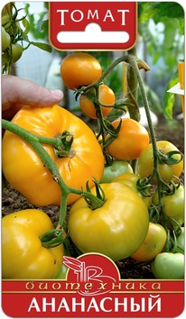 ����� ���������