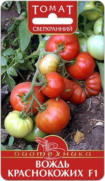 ����� ����� ����������� F1