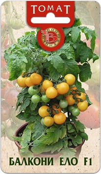 ����� ������������ ������� ��� F1