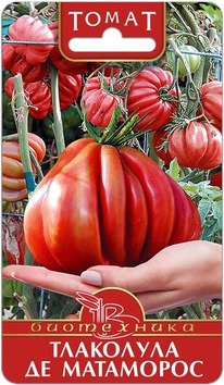 ����� ��������� �� ���������