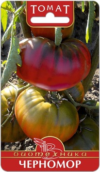 ����� ��������