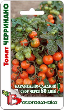 ����� ���������