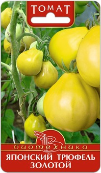 ����� �������� ������� �������