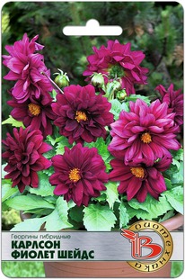 �������� ��������� ������� ������ �����