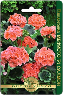 ���������� ���������������� ������� F1  ������