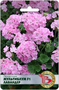 ���������� ���������� F1 ��������