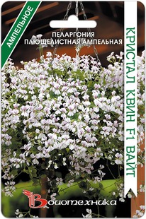 ���������� ������������ ��������� ������� ���� F1 ����