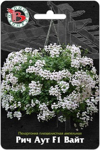 ���������� ������������ ��������� ��� ��� F1 ����