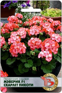 ���������� ������� ������� F1 ������� ������