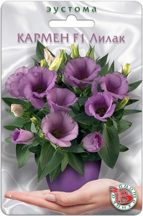 ������� ��������� ������ F1 �����