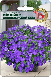 ������� ��������� ��� ���� F1 �������� ���� ���