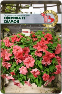 ������� ��������������� ������� F1 ������