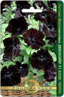 ������� �������������� �������� F 1 ���� �����