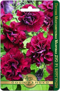 ������� �������������� �������� ��� F1 ��������