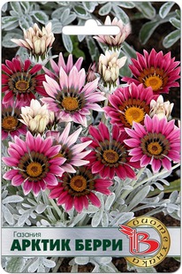 ������� ������ �����