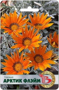 ������� ������ �����