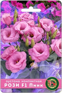 ������� ���������� �������� ���� F1 ����