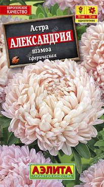 ����������� ����� �����