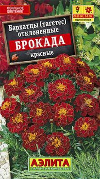 ������� ������� ��������