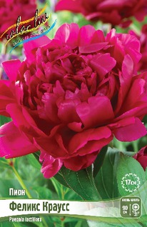 ���� ������ ������ 2/3n