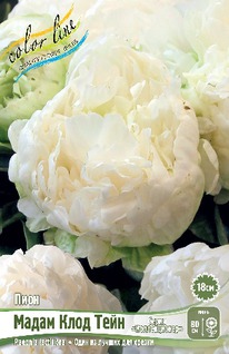 ���� ����� ���� ���� 2/3n