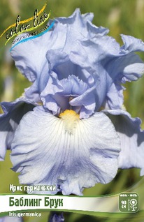 ���� ���������� ������� ����